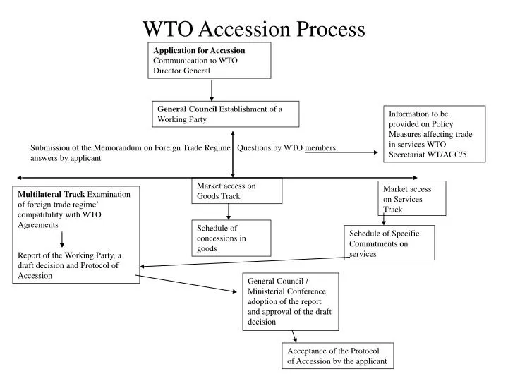 wto accession process
