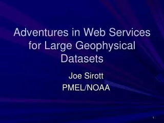 Adventures in Web Services for Large Geophysical Datasets