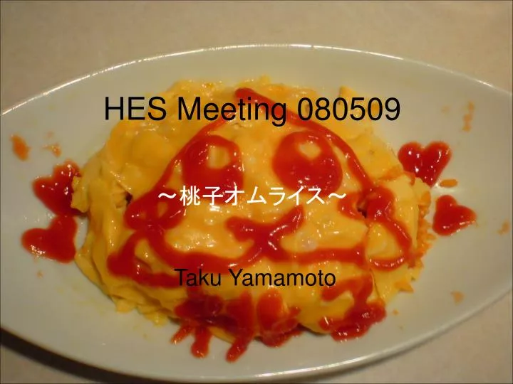 hes meeting 080509 taku yamamoto