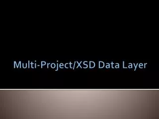 Multi-Project/XSD Data Layer