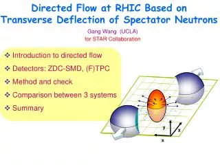 Directed Flow at RHIC Based on Transverse Deflection of Spectator Neutrons