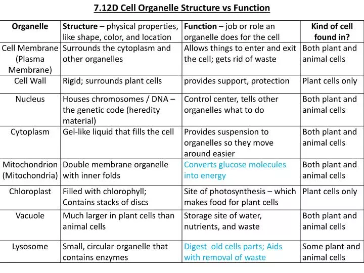 7 12d cell organelle structure vs function
