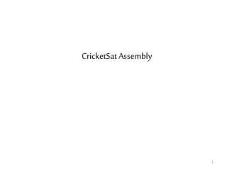 CricketSat Assembly