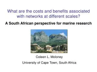 What are the costs and benefits associated with networks at different scales?