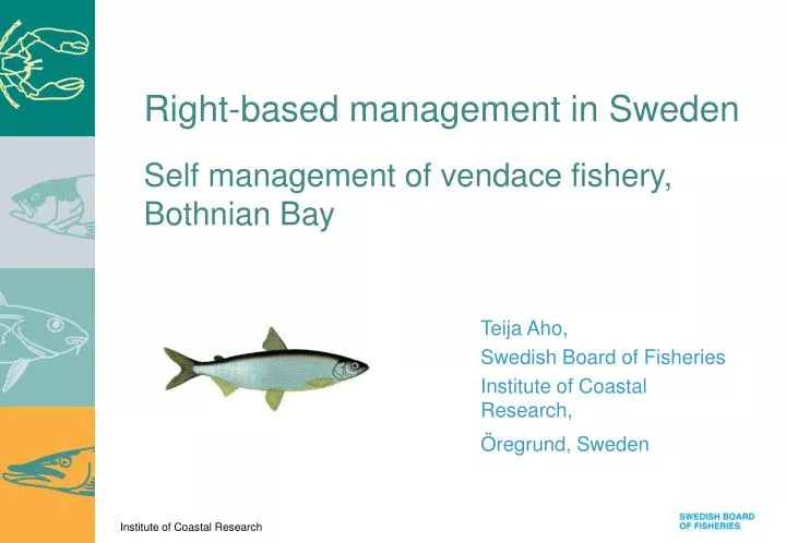 self management of vendace fishery bothnian bay