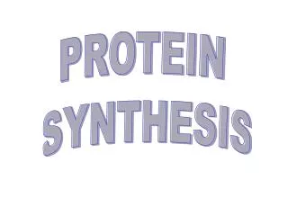 PROTEIN SYNTHESIS