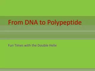 From DNA to Polypeptide