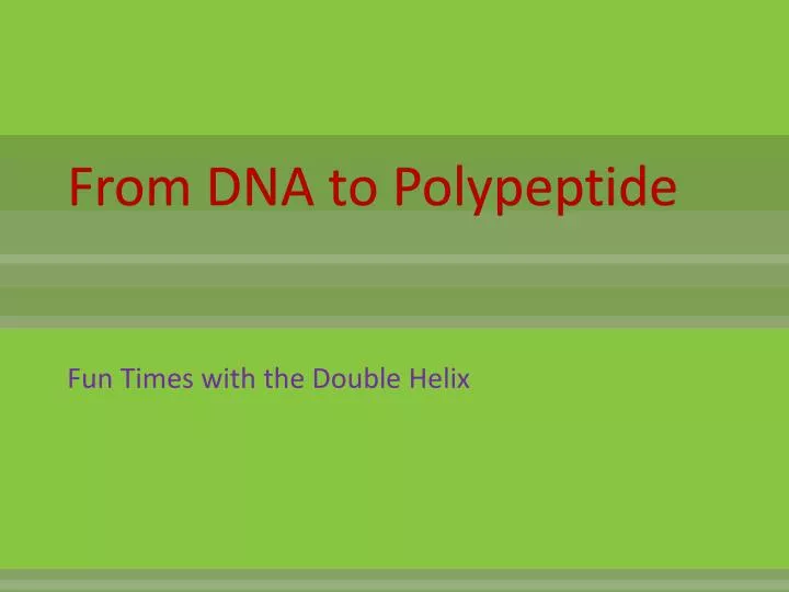 from dna to polypeptide
