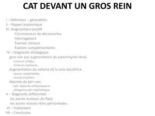 cat devant un gros rein