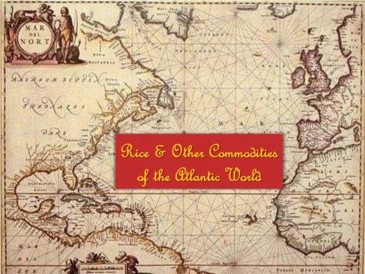 rice other commodities of the atlantic world