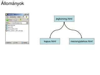 llom nyok