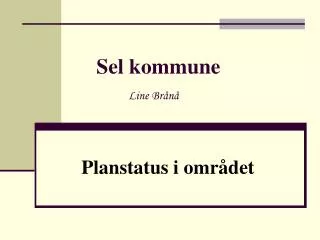 sel kommune line br n