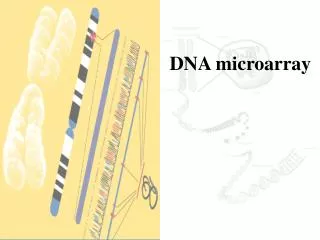 DNA microarray