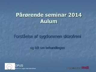 p r rende seminar 2014 aulum