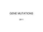 Understanding Gene Mutations and Their Effects on DNA Sequences - slide 1
