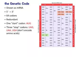 the Genetic Code