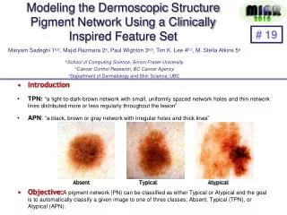 Modeling the Dermoscopic Structure Pigment Network Using a Clinically Inspired Feature Set