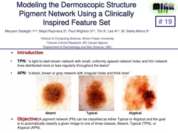 modeling the dermoscopic structure pigment network using a clinically inspired feature set