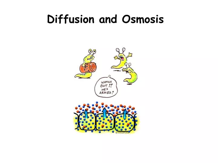 diffusion and osmosis