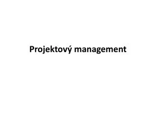 projektov management