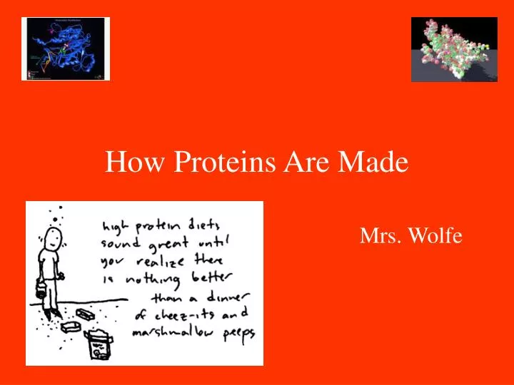 how proteins are made