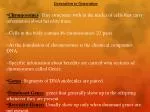 Understanding Genetics: From Chromosomes to Genetic Disorders - slide 1