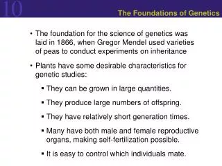 The Foundations of Genetics