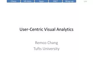 User-Centric Visual Analytics