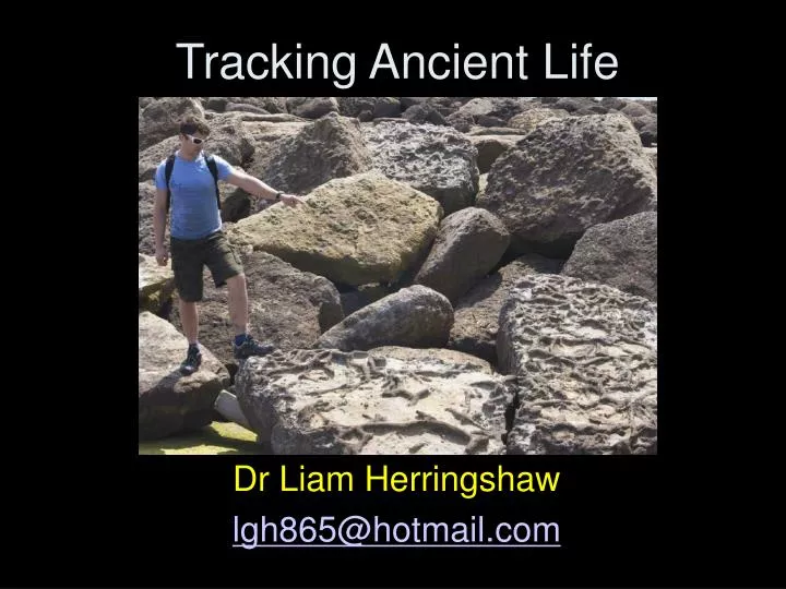 tracking ancient life