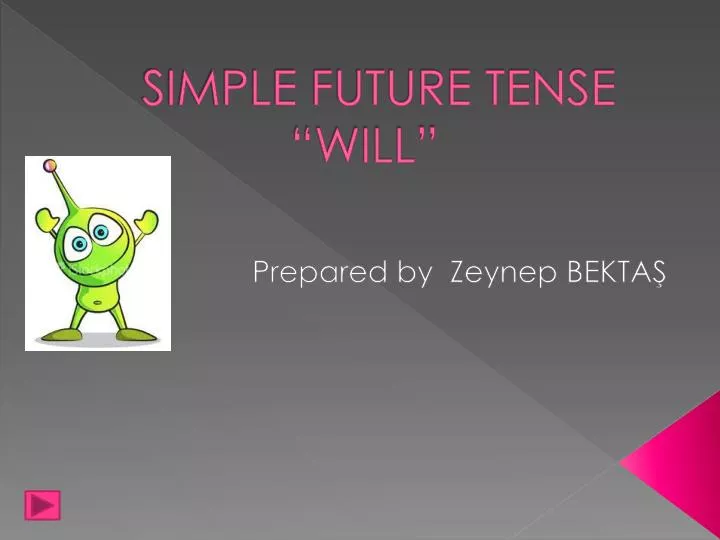 simple future tense will