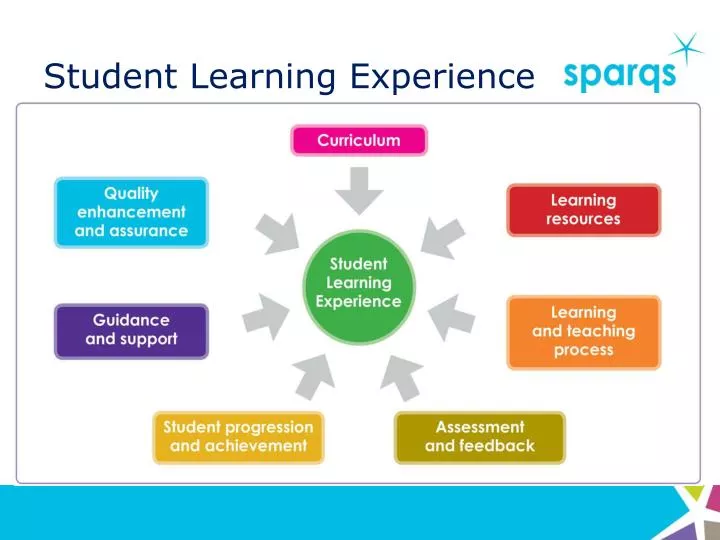 student learning experience