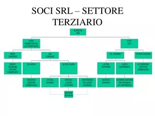 soci srl settore terziario