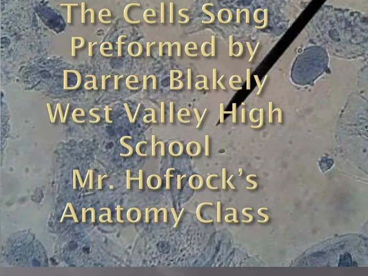 the cells song preformed by darren blakely west valley high school mr hofrock s anatomy class