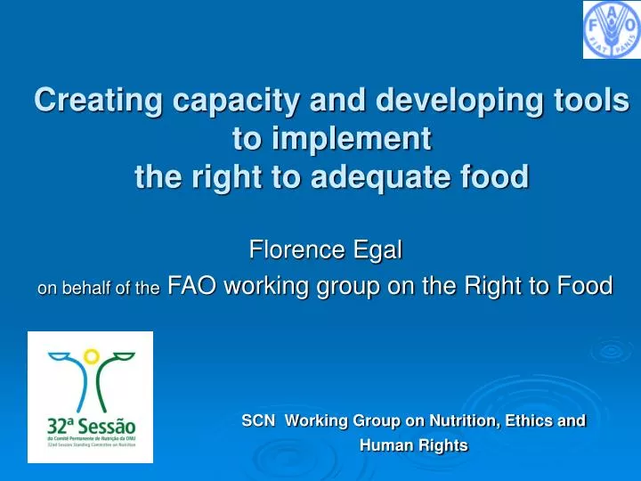 creating capacity and developing tools to implement the right to adequate food