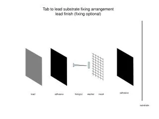 Tab to lead substrate fixing arrangement lead finish (fixing optional)