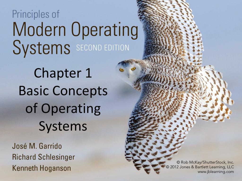 PPT - Chapter 1 Basic Concepts of Operating Systems PowerPoint ...