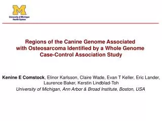 Regions of the Canine Genome Associated with Osteosarcoma Identified by a Whole Genome