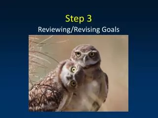 Step 3 Reviewing/Revising Goals