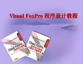 visual foxpro