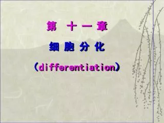 differentiation