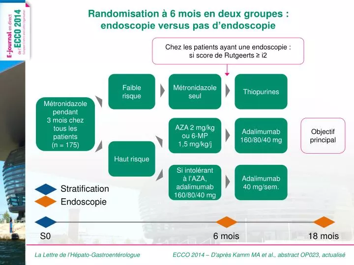 randomisation 6 mois en deux groupes endoscopie versus pas d endoscopie
