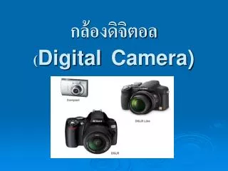 digital camera