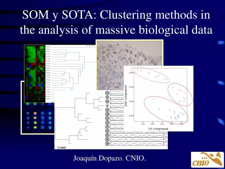 som y sota clustering methods in the analysis of massive biological data