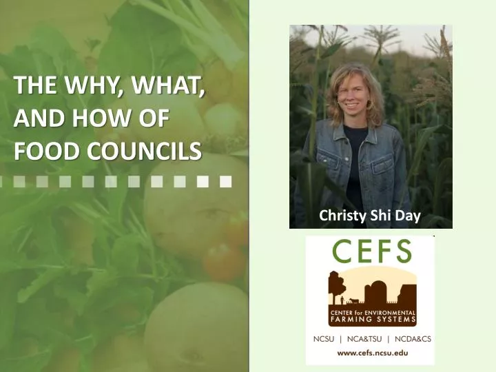 the why what and how of food councils