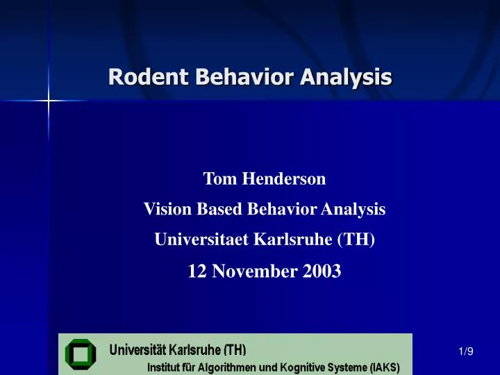 rodent behavior analysis