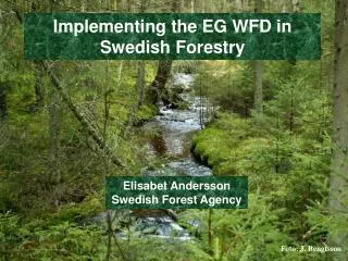Implementing the EG WFD in Swedish Forestry