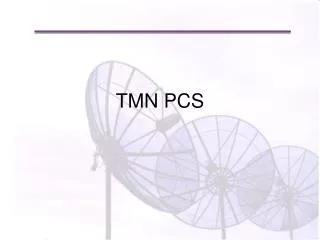 TMN PCS