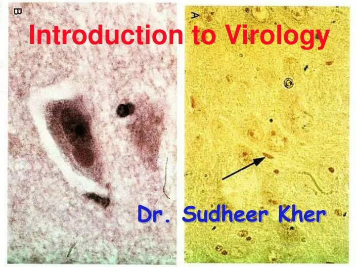 introduction to virology