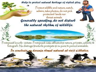 Help to protect natural heritage of visited sites.