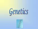 Genetics - slide 1